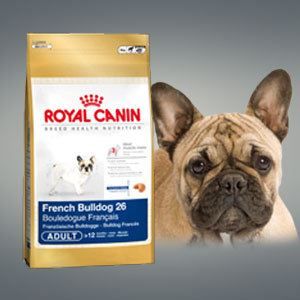 French bulldog junior adult 3kg