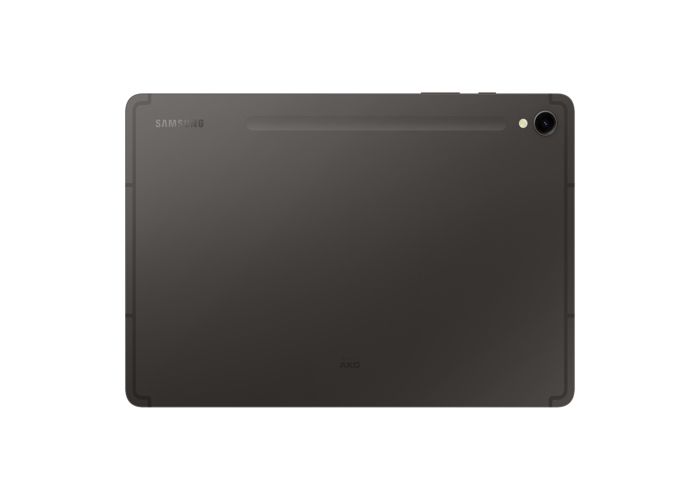 Samsung Galaxy Tab S9 - 12 Go RAM / 256 Go Stockage - 5G (Graphite)