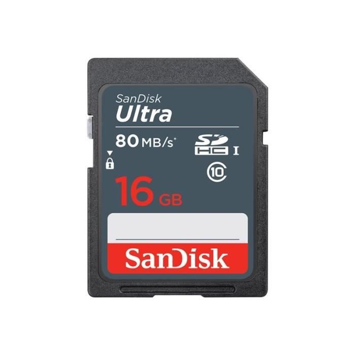 Carte mémoire flash - SANDISK - - 16GB - - (SDSDUNS-016G-GN3IN)