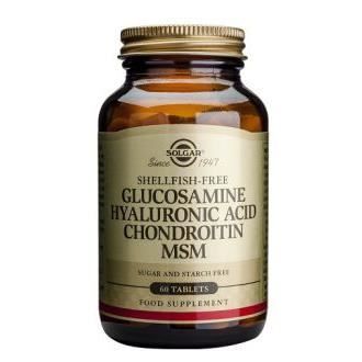La Glucosamine Chondroïtine Msm Acide Hyaluroni