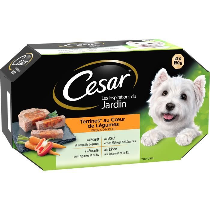 CESAR Barquettes en terrine cœur de légumes - 4 variétés - Pour chien adulte - 4 x 150 g